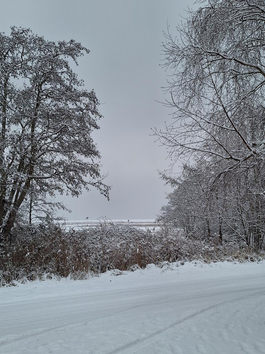 Winterlandschaft (Norddorf)