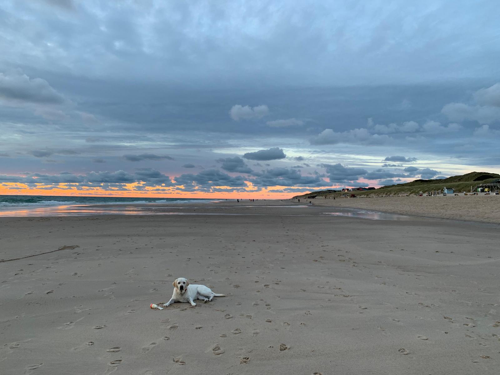Strand in der Abenddämmerung