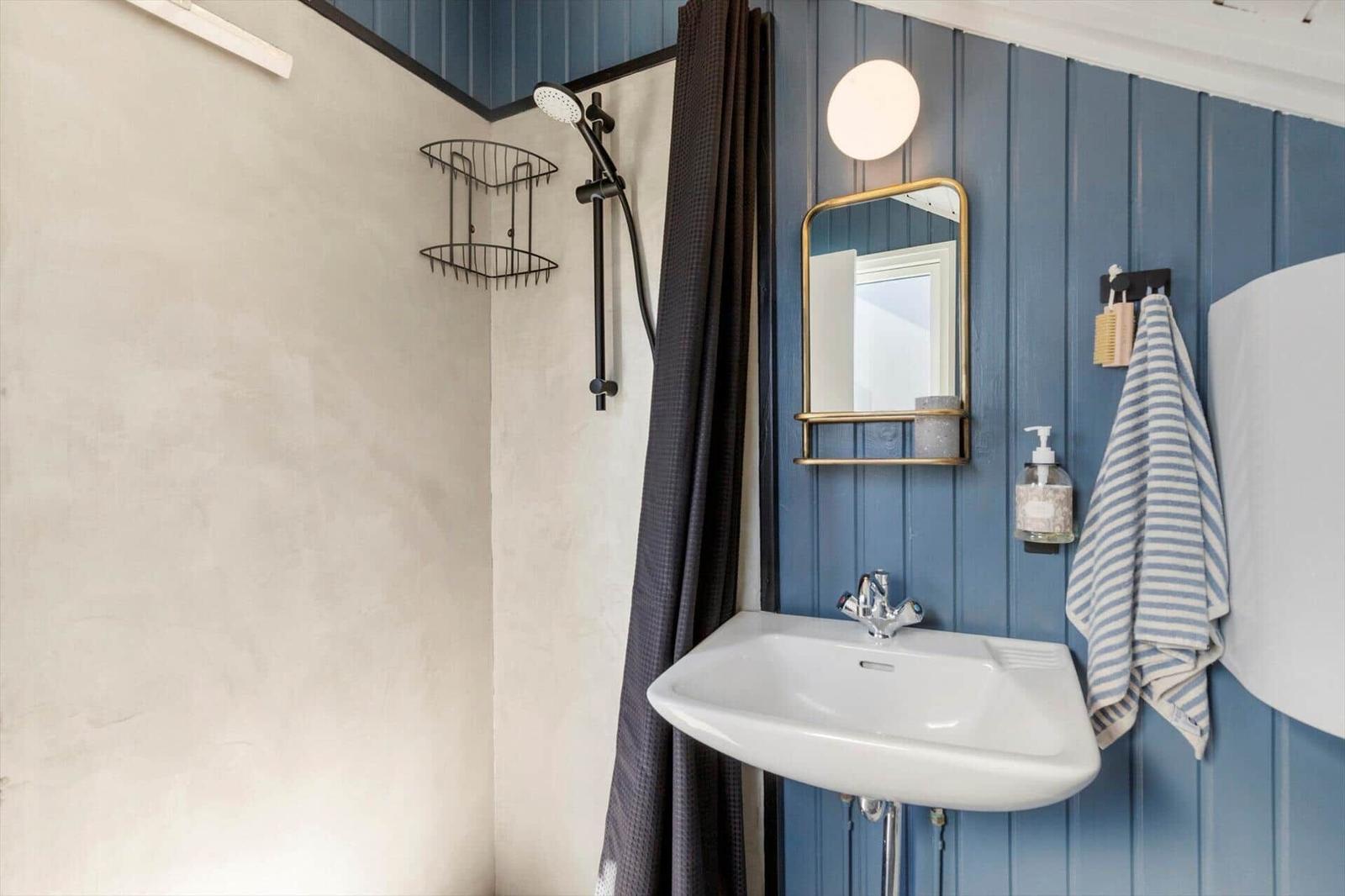 Bathroom with shower, sink, and mirror on blue wood panel wall.