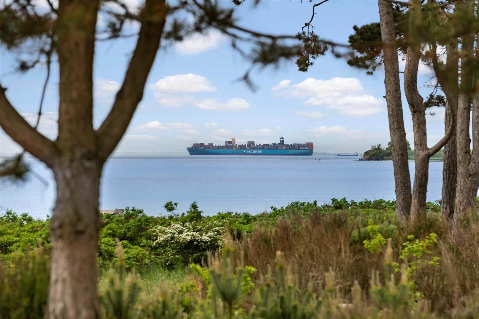 Ein Containerschiff ist durch Bäume und Gras im Hafen zu sehen.