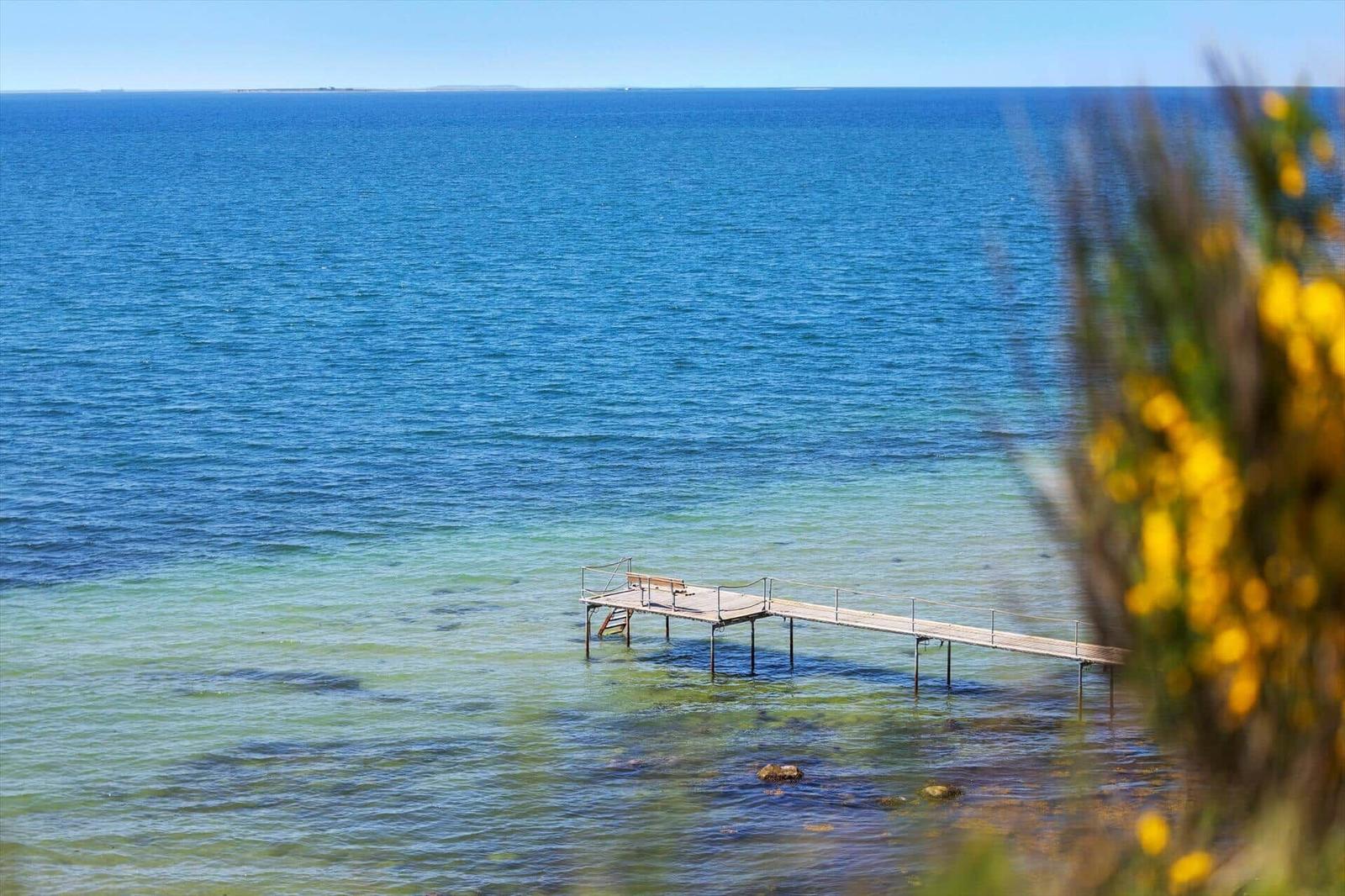 Wooden pier extends into clear sea. Yellow flowers in foreground.