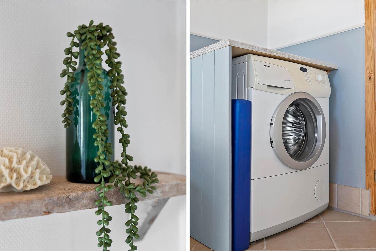 Grüne Pflanze in Glasflasche auf Holzregal. Waschmaschine in Küchenbereich mit Arbeitsplatte.