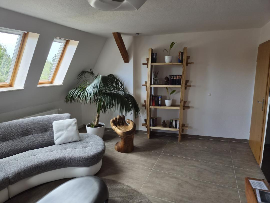 Ein Raum mit Dachfenstern, Sofa, Pflanze und Holzregal.