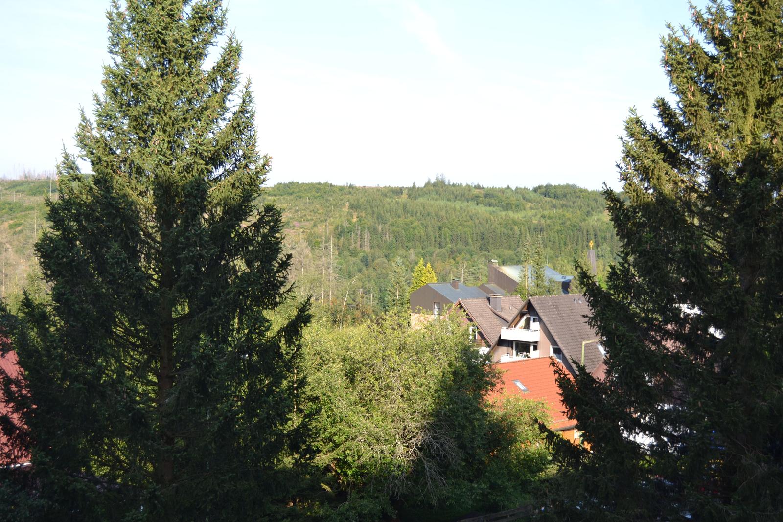 Der Blick vom Balkon