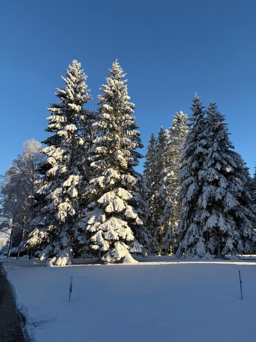 Unser Ferienpark bei Schnee