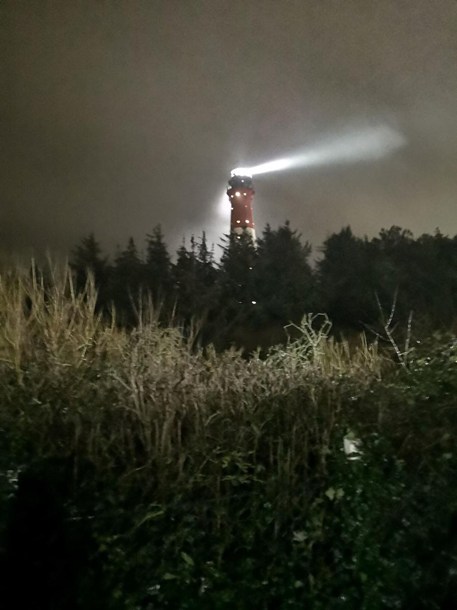 Leuchtturm bei Nacht mit Strahllicht, umgeben von Wald und hohem Gras.