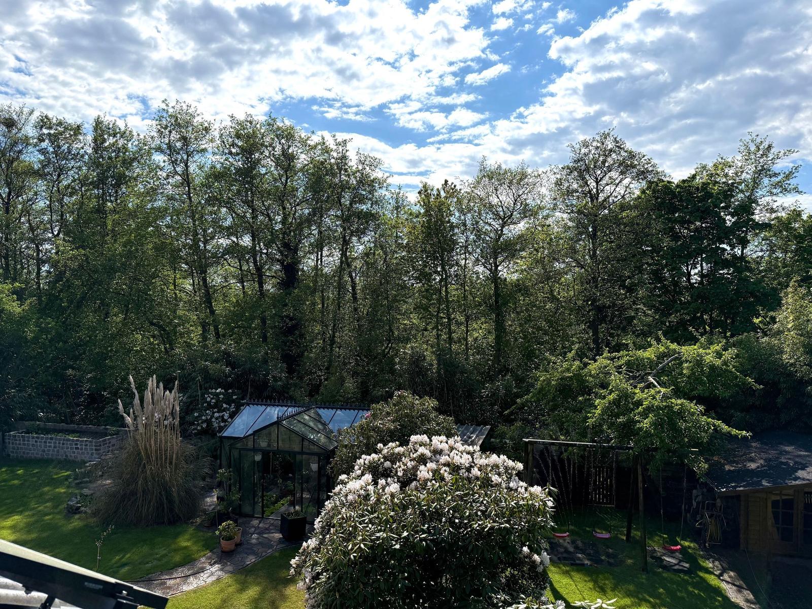 Garten mit Gewächshaus, Schaukel und Blumen unter Bäumen.