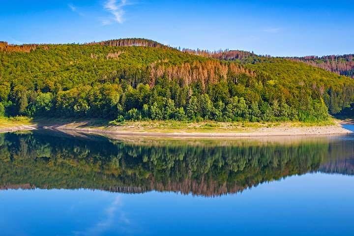 Ein ruhiger See spiegelt den bewaldeten Hügel und den blauen Himmel wider.