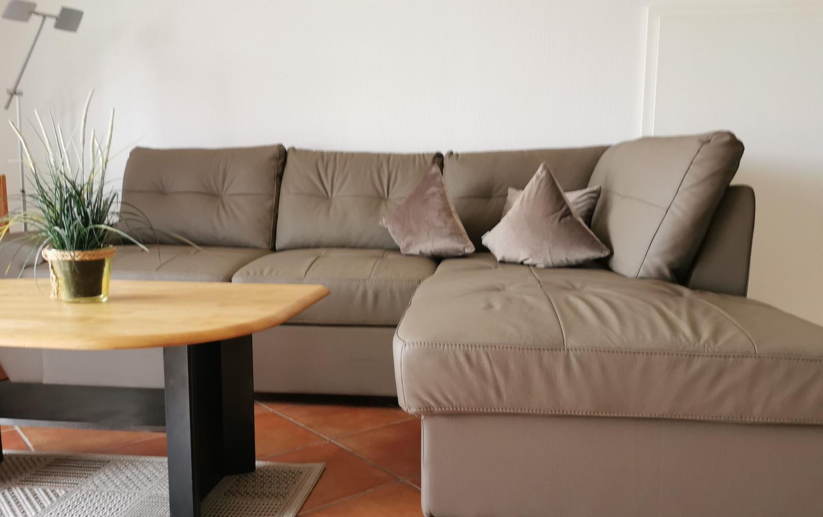 Ein braunes Sofa mit Kissen und einem Holztisch mit Pflanze.