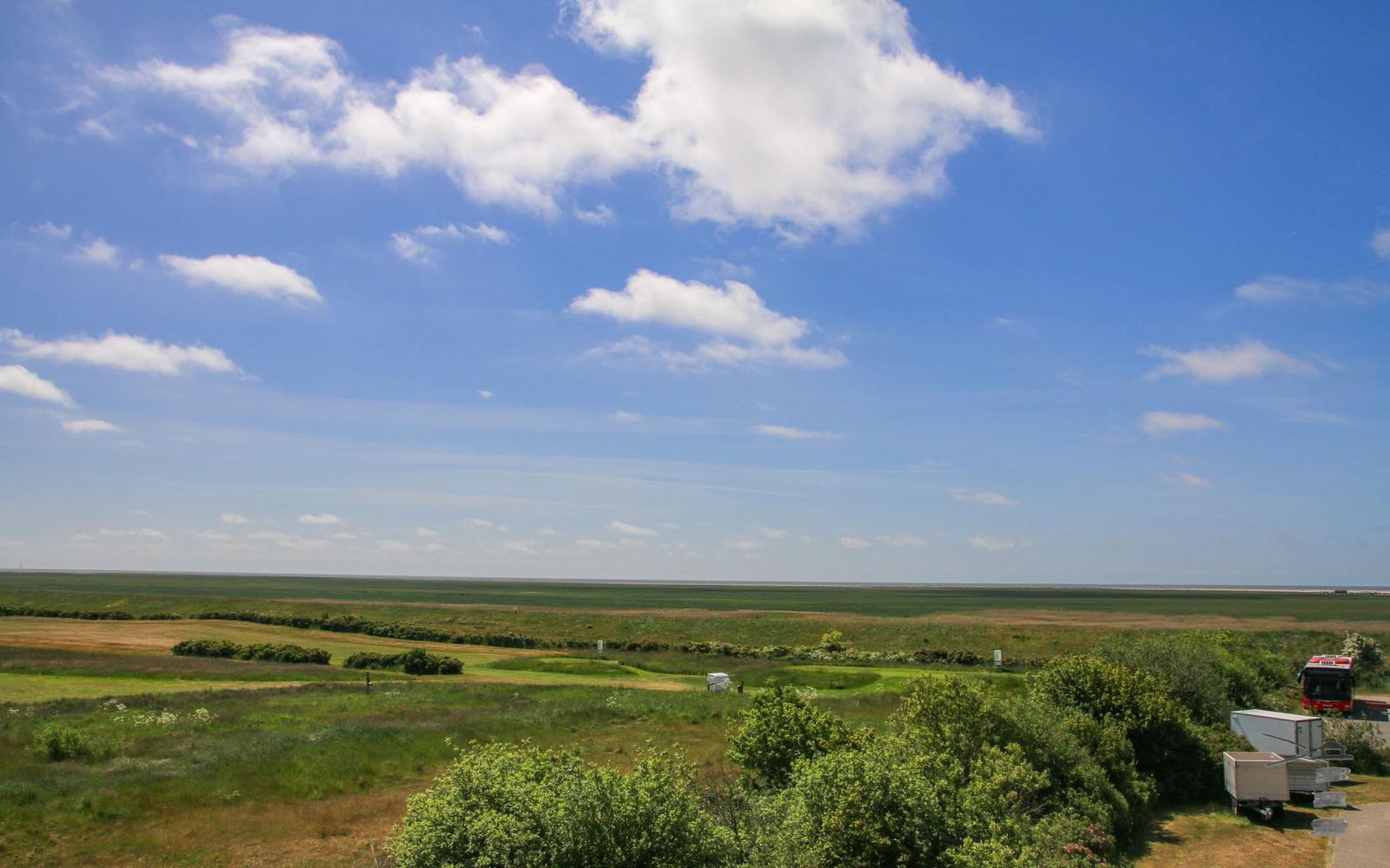 Weitläufiges Grünland unter blauem Himmel mit vereinzelten Wolken und einem roten Bus im Vordergrund.