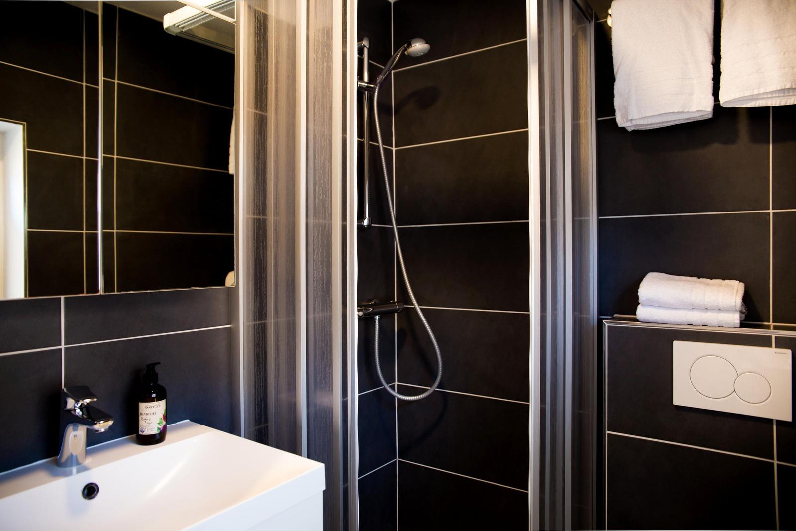 Duschkabine mit Duschbrause, Waschbecken und Toilette in modernem Badezimmer.