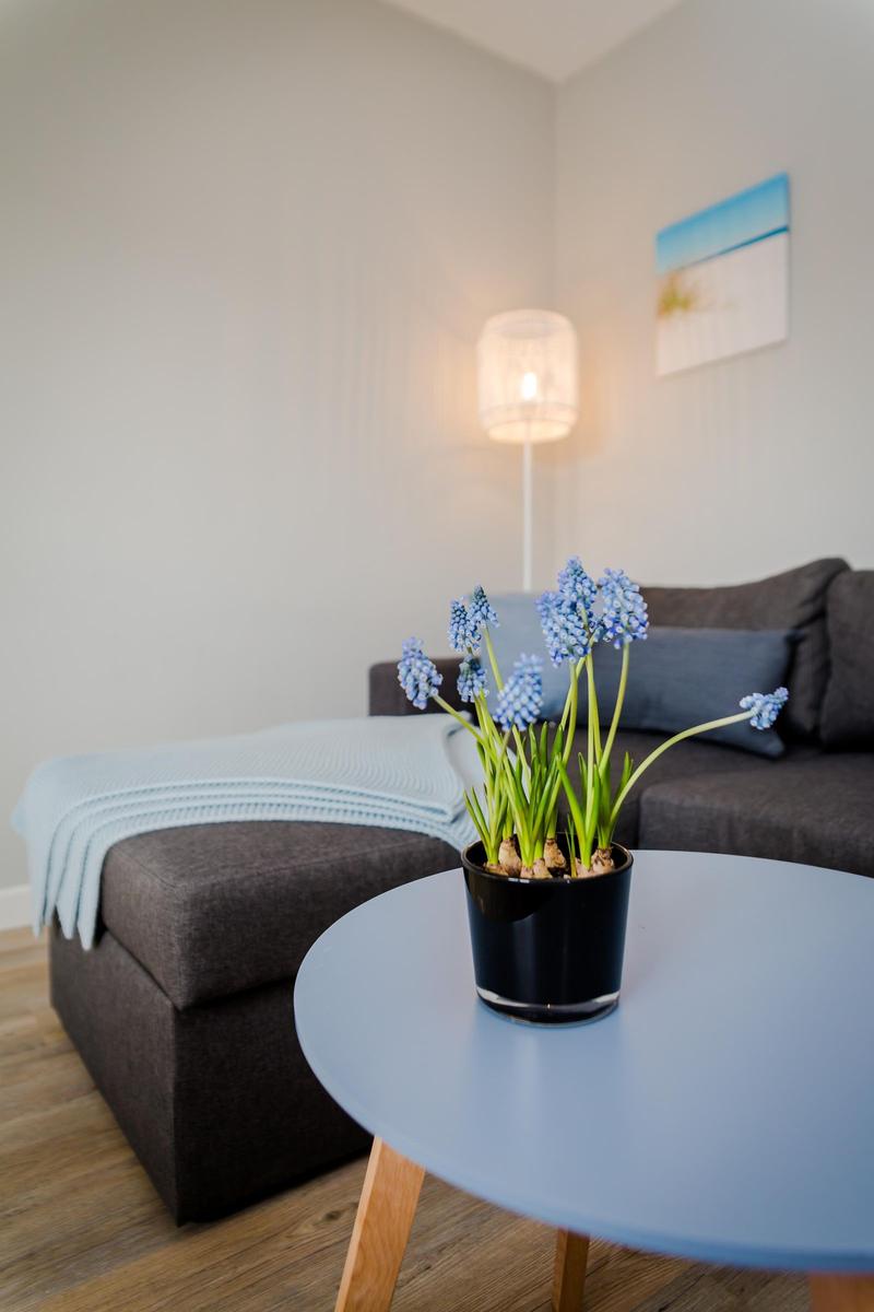 Ein Wohnzimmer mit grauem Sofa, blauem Tisch und Blumen in Topf.
