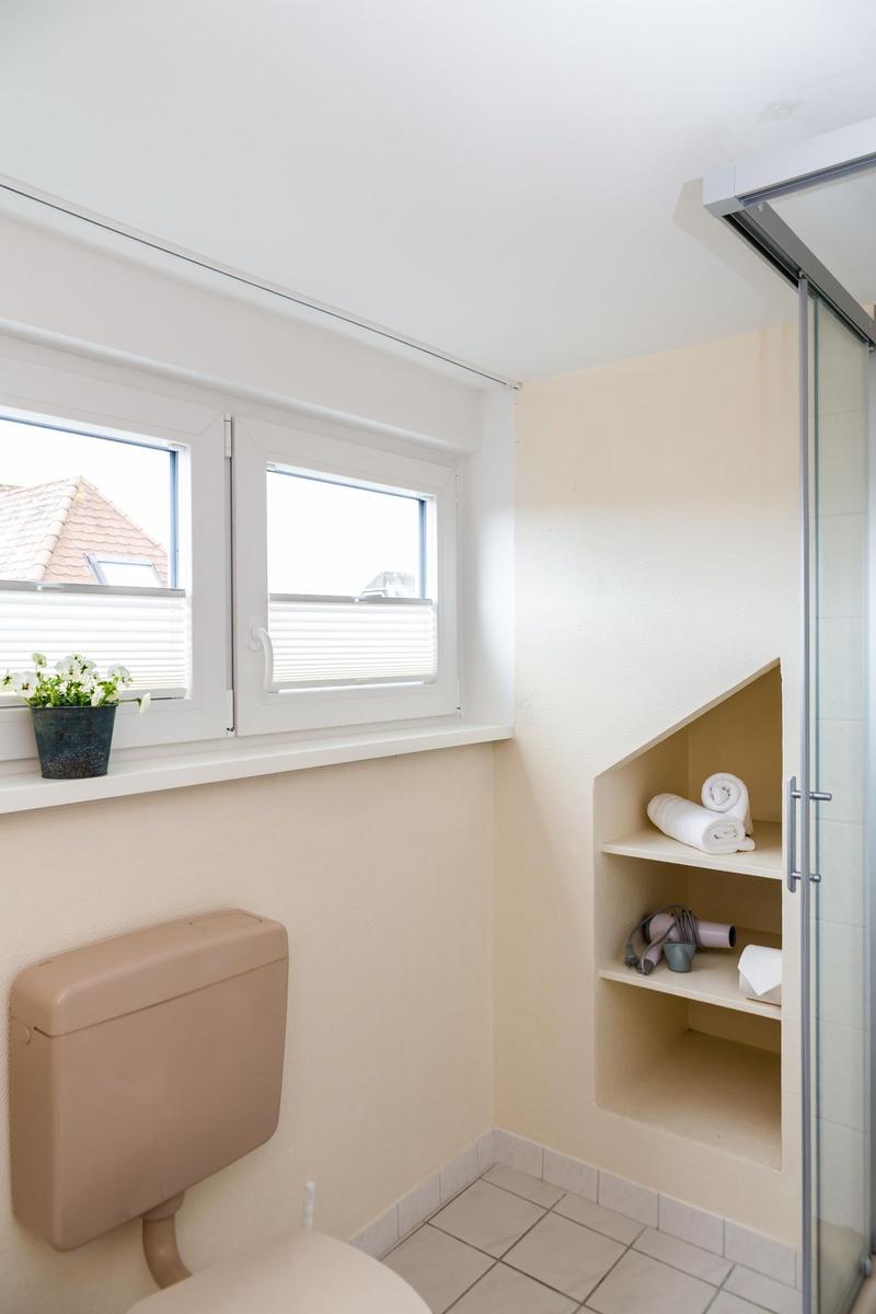 Bathroom with shower, toilet, and window with plant.