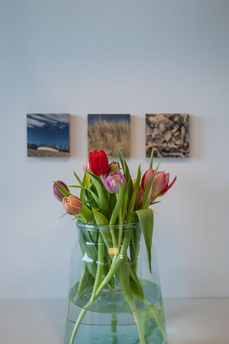 Tulpen in einem Glas auf einem Tisch, drei Bilder an der Wand dahinter.