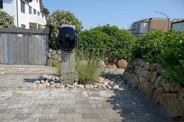 Eingangsbereich mit Pflanzen, Steinmauer und Grillplatz.