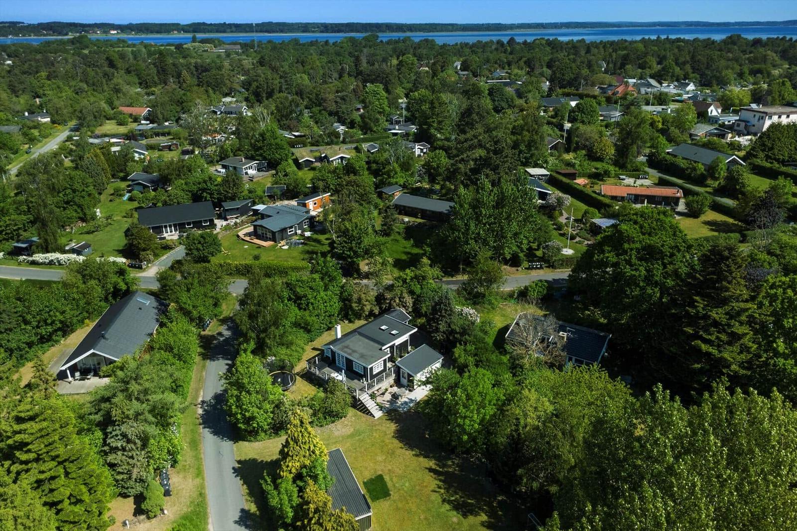 Aerial view of vacation homes in green surroundings with water view