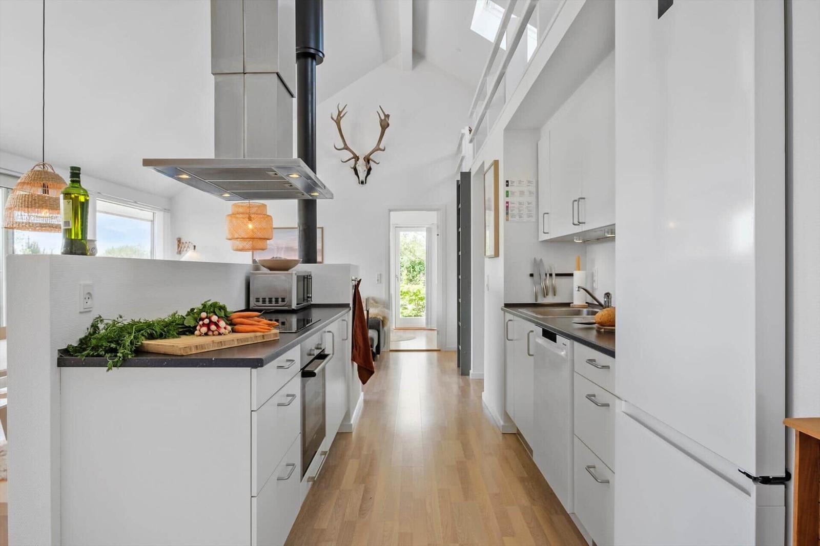 Kitchen with countertop, sink, and cabinetry. Background: door and wall with deer antlers.