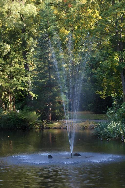 Ein Springbrunnen im Teich umgeben von Bäumen und Pflanzen.