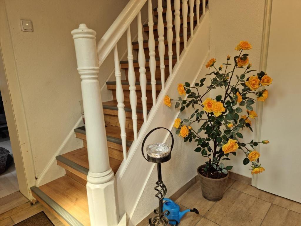 Hausflur mit Treppe, Pflanze und Laterne