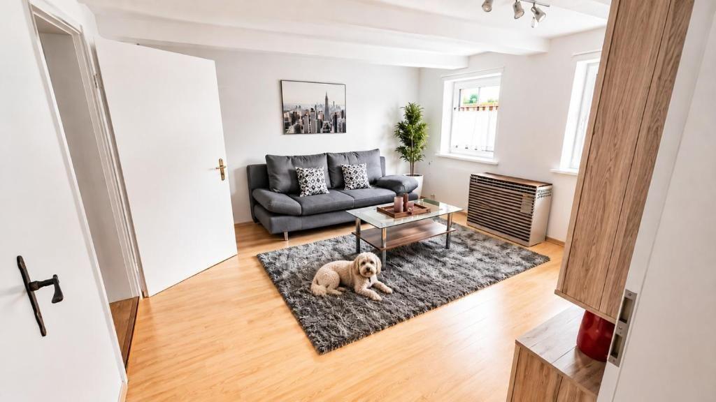 Wohnzimmer mit grauem Sofa, Glas-Tisch und Fellteppich. Ein Hund liegt darauf.