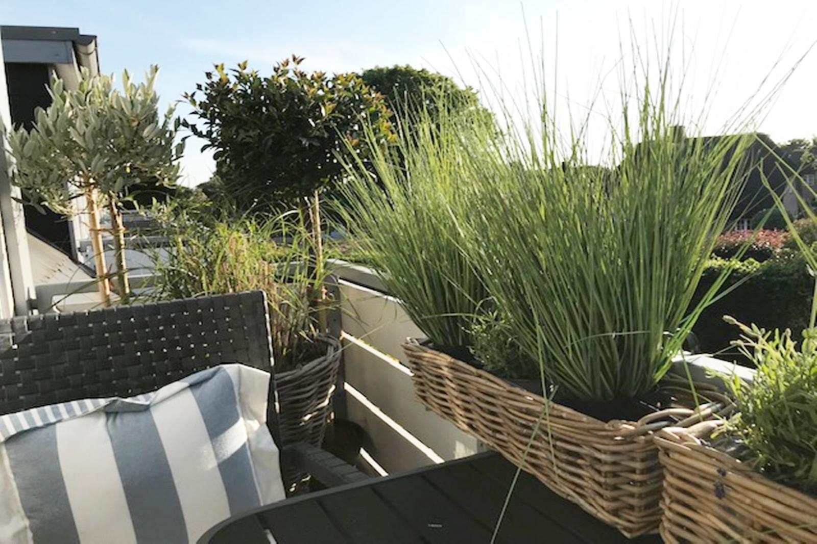 Terrasse mit Sitzmöbeln, Pflanzen in Körben und Blick auf Grünflächen.