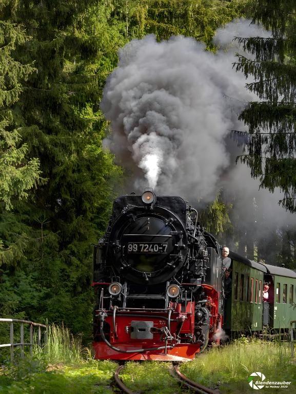 Dampflokomotive fährt durch Wald mit Rauch und grünen Bäumen.