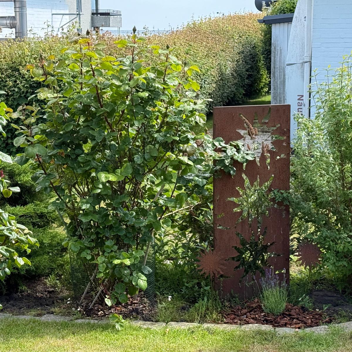 Garten mit Sträuchern und rustikalem Metallzaun mit Sonnenmotiv.