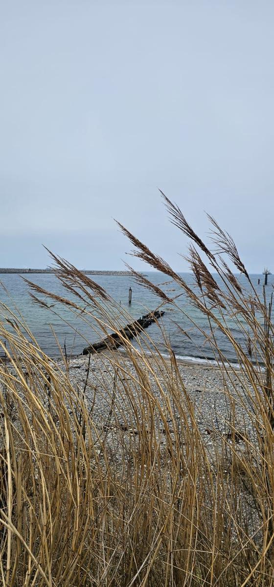 Naturstrand