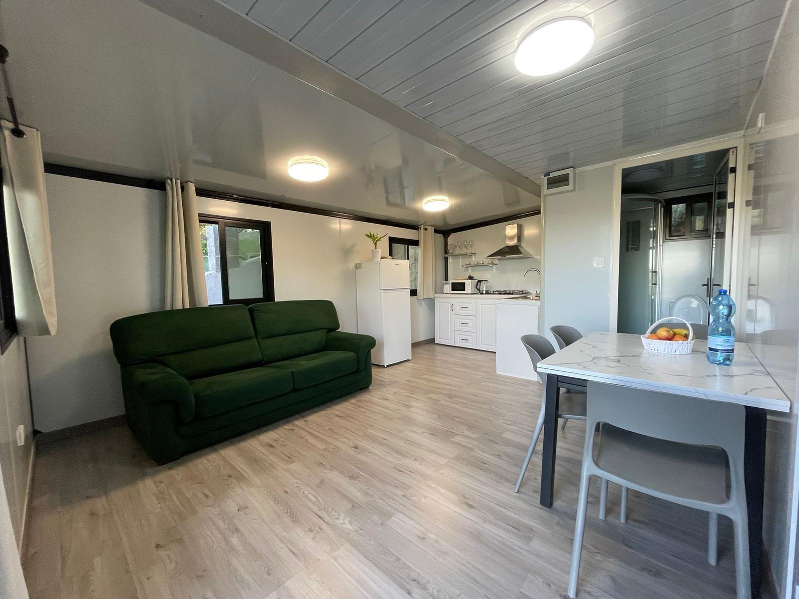 Living room with green sofa, kitchen area, and dining table with chairs.