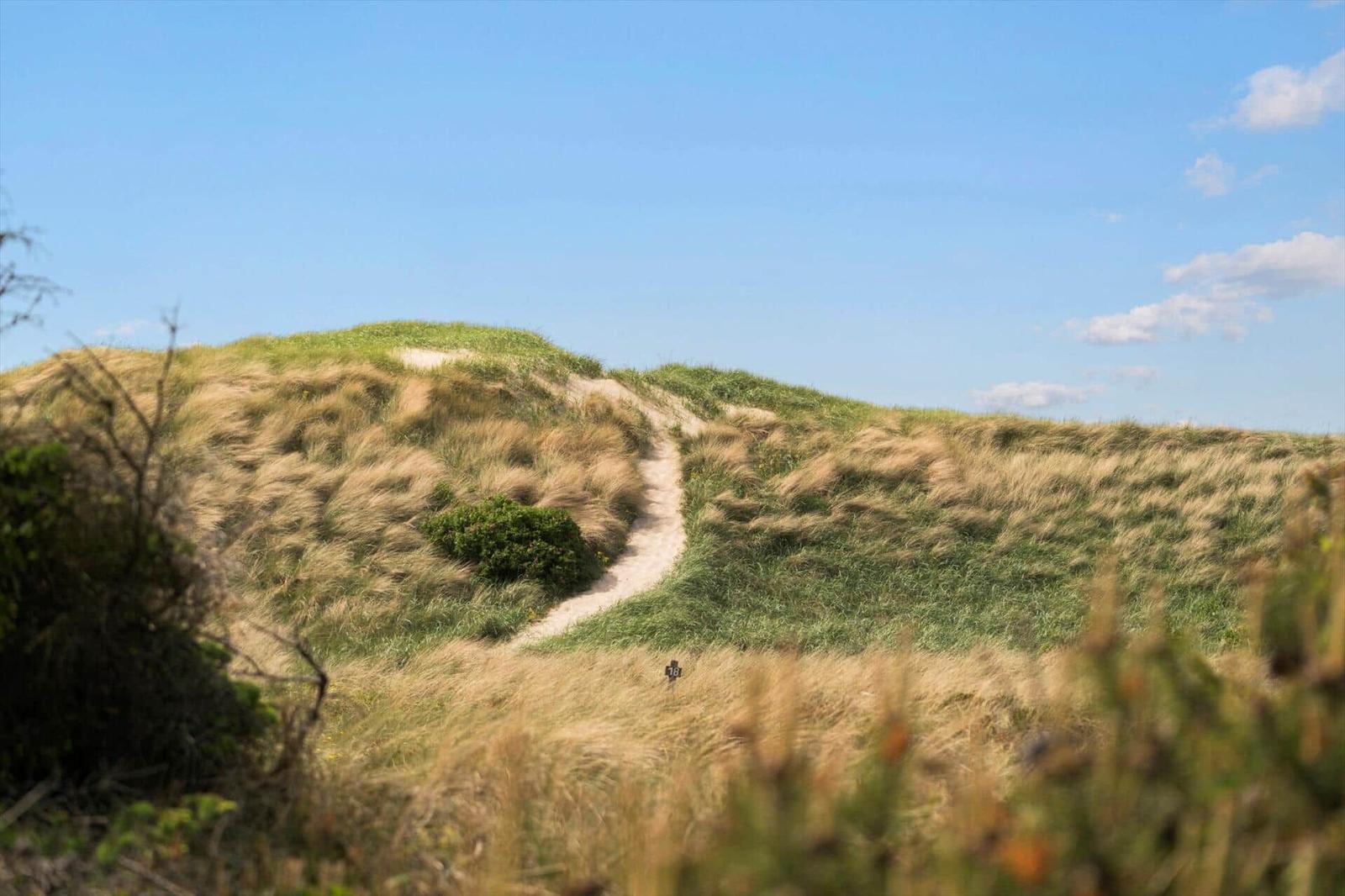 Weg durch grasbewachsene Dünen unter blauem Himmel