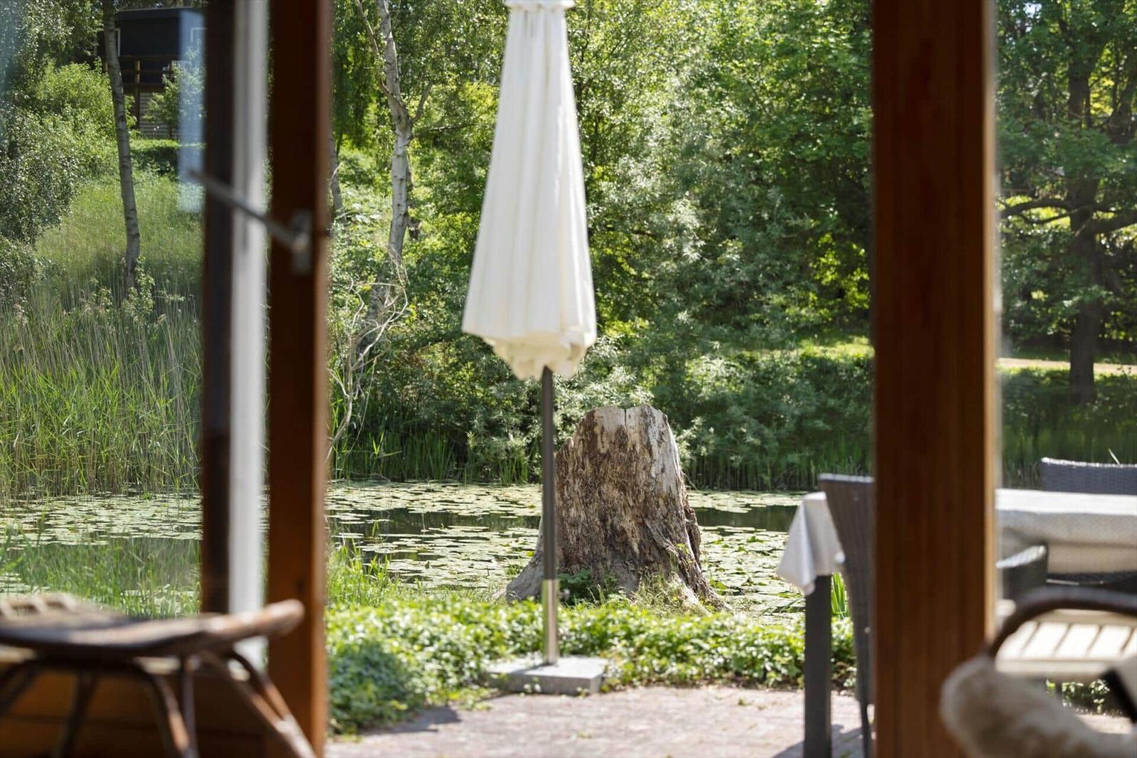 Through the door, you see a pond with water lilies and a tree stump. A white parasol stands beside it.