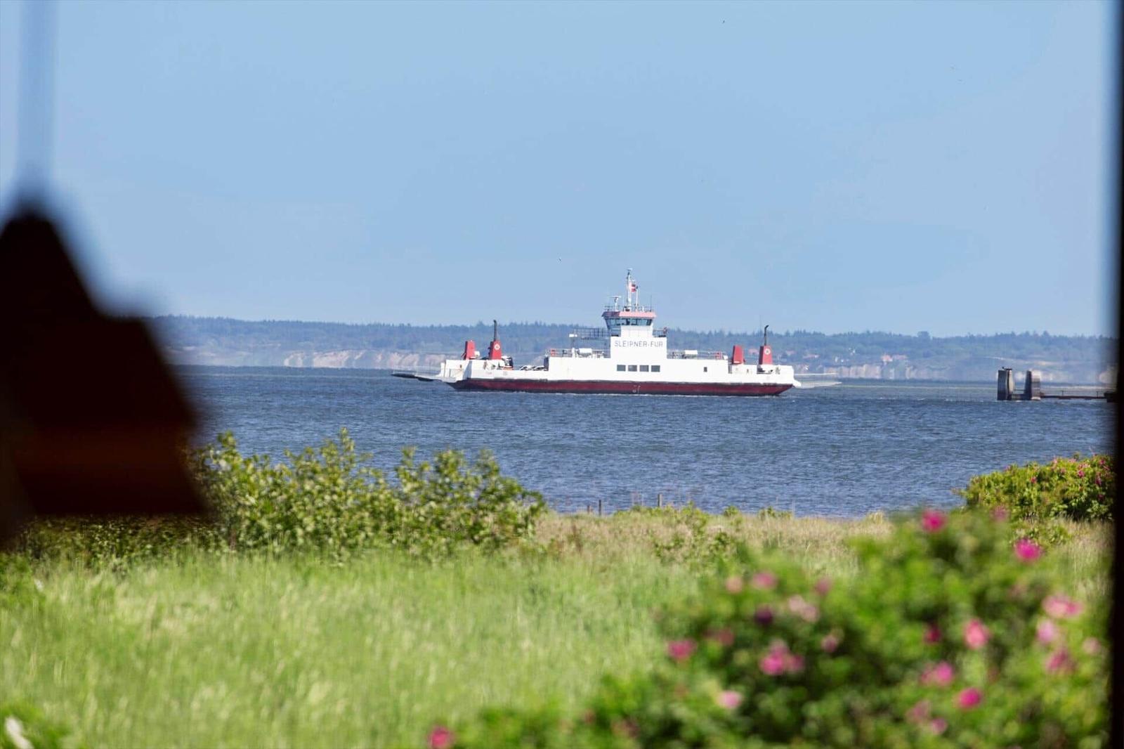 Ferry on the water with grass and flowers in the foreground.