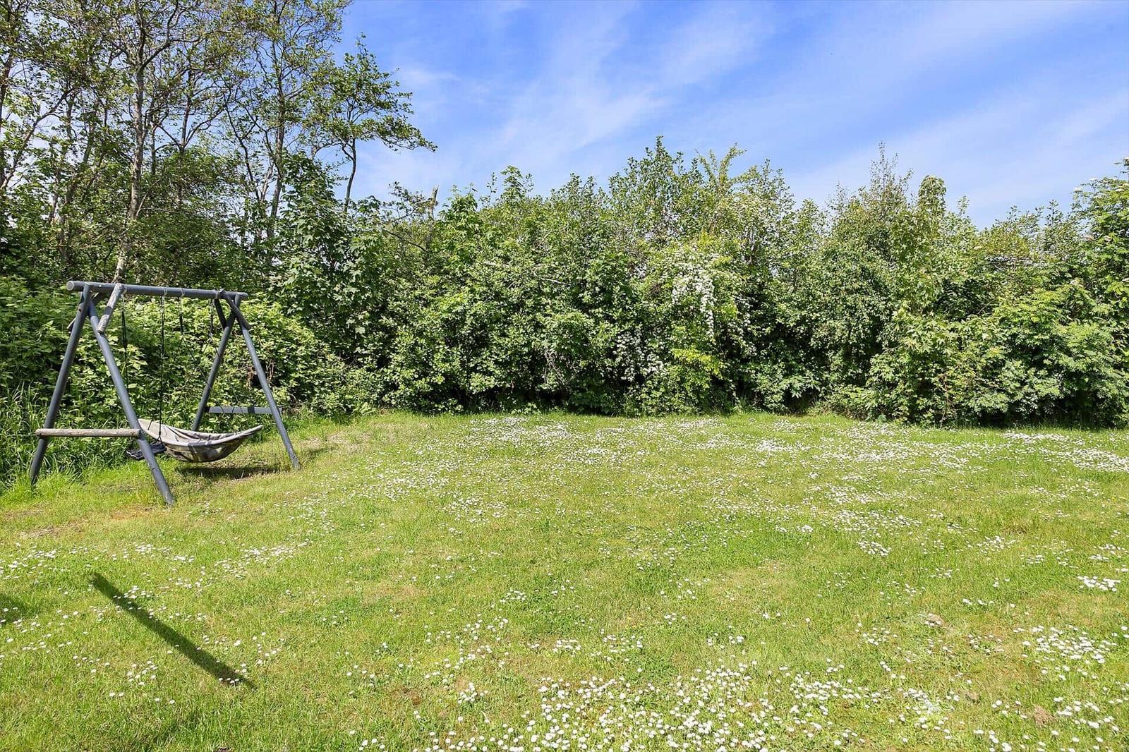 Grüner Rasen mit weißen Blumen und Schaukel im Hintergrund.