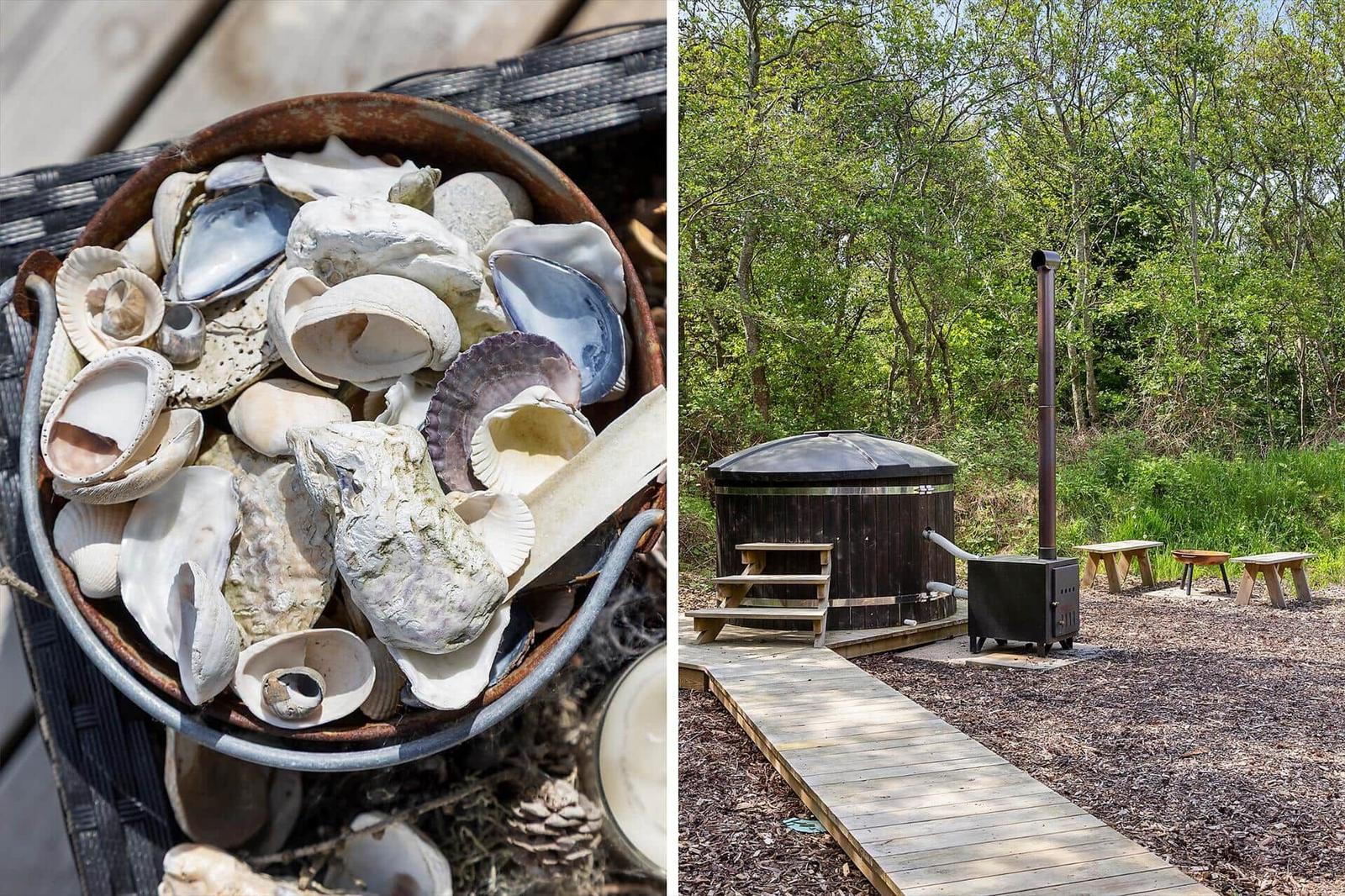 Eimer mit Muscheln und ein Holzbad im Wald.