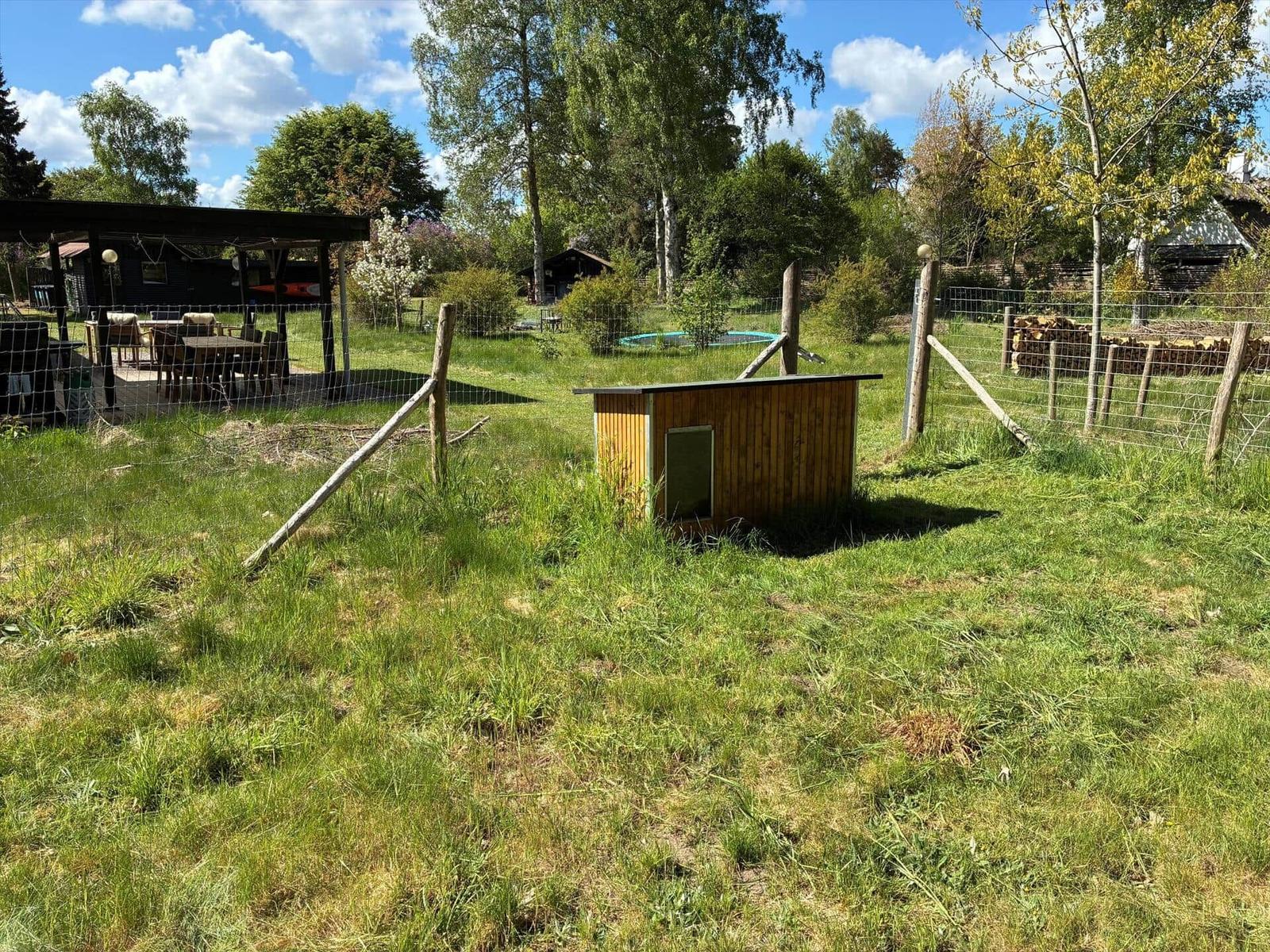Grüner Garten mit Holzhaus, Zaun und Terrasse im Hintergrund.