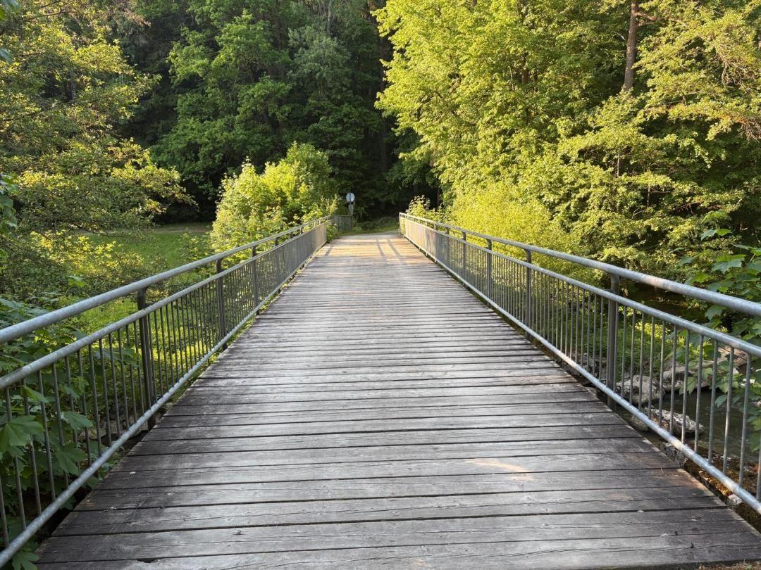 Holzbrücke mit Metallgeländer führt durch grünes Waldgebiet.