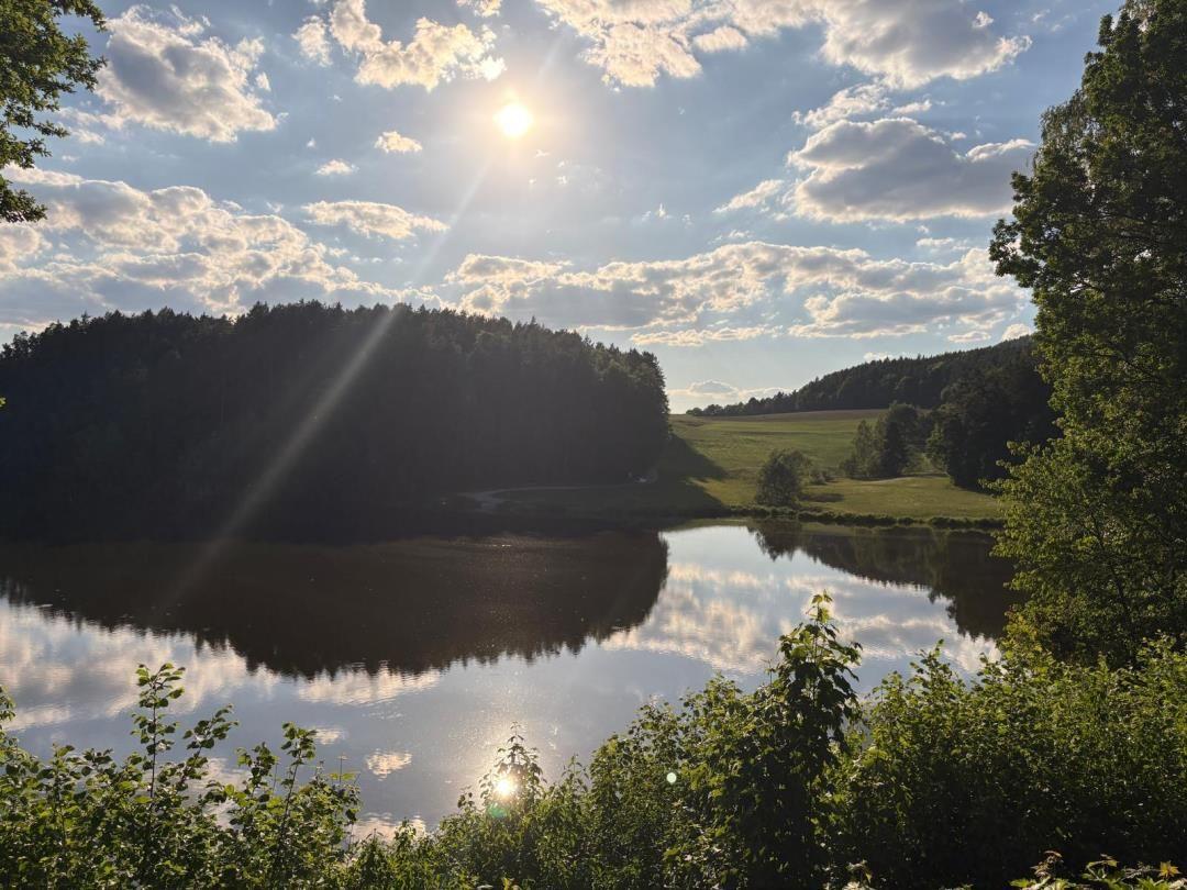 See mit Wald und Grünflächen unter blauem Himmel mit Sonne und Wolken.