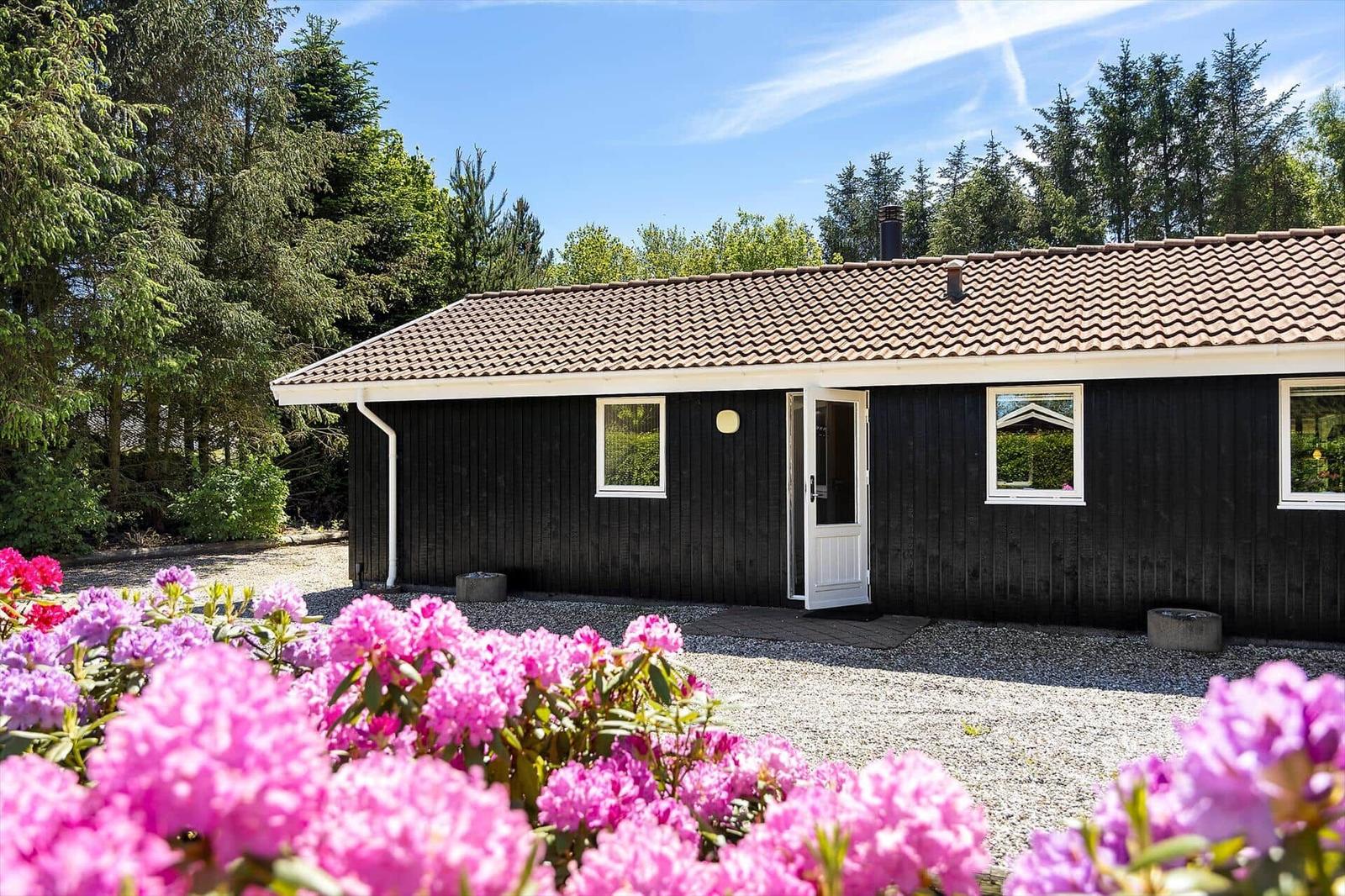 Schwarzes Holzhaus mit weißen Fenstern und Tür, umgeben von blühenden Rhododendronblumen und Bäumen.