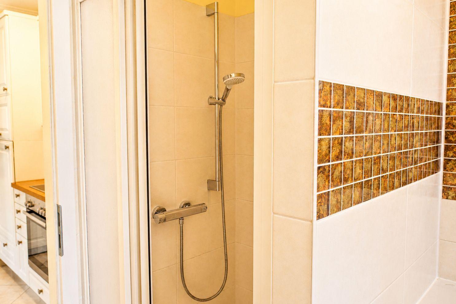 Dusche mit Duschbrause und Glaswand, Wand mit Mosaikfliesen.