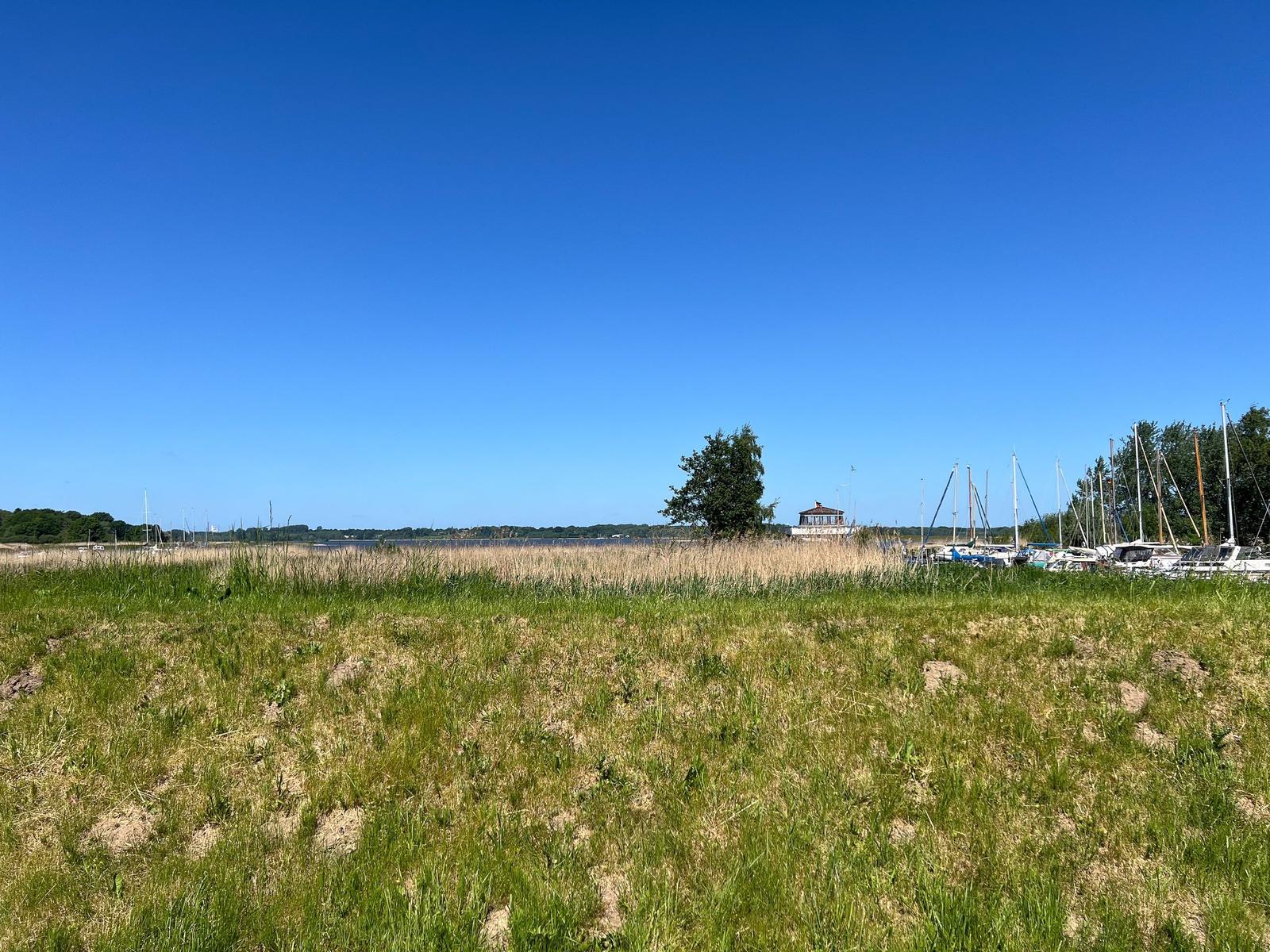 Grünes Feld mit Booten und kleinem Haus am Ufer unter blauem Himmel.