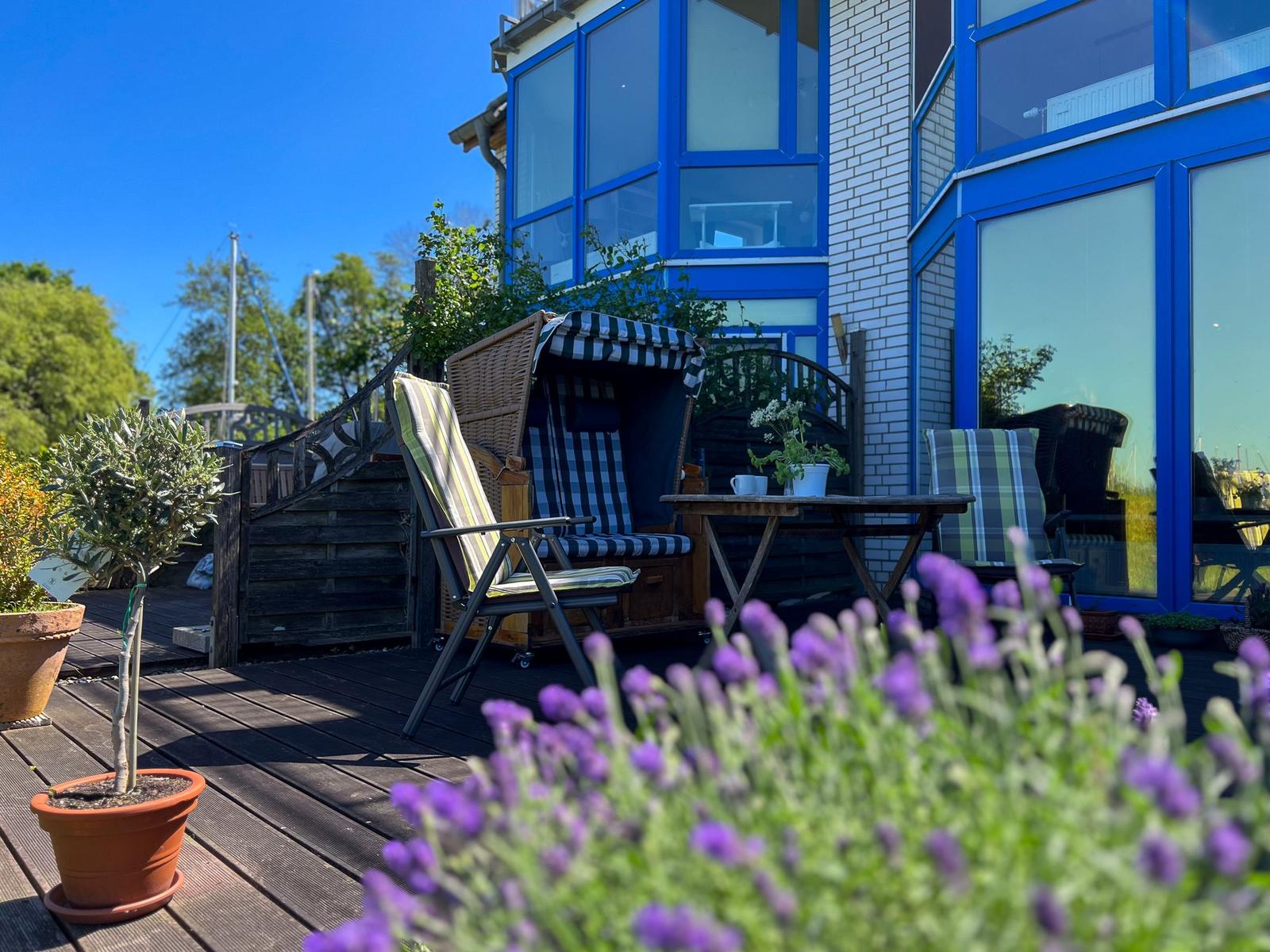 Terrasse mit Liegestühlen, Tisch und Pflanzen vor einem Haus mit blauen Fenstern.