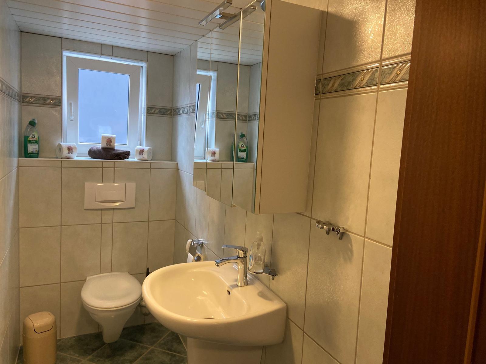Badezimmer mit Waschbecken, Spiegel, Toilette und Fenster.