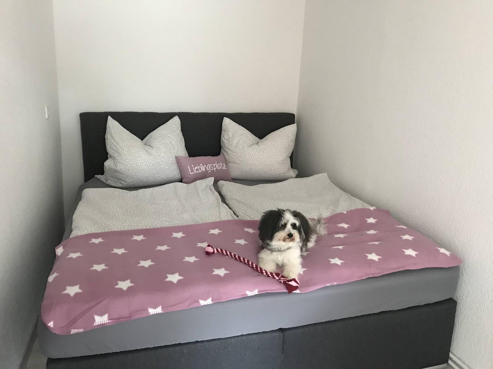 Ein Bett mit rosa Bettwäsche und einem Hund darauf.