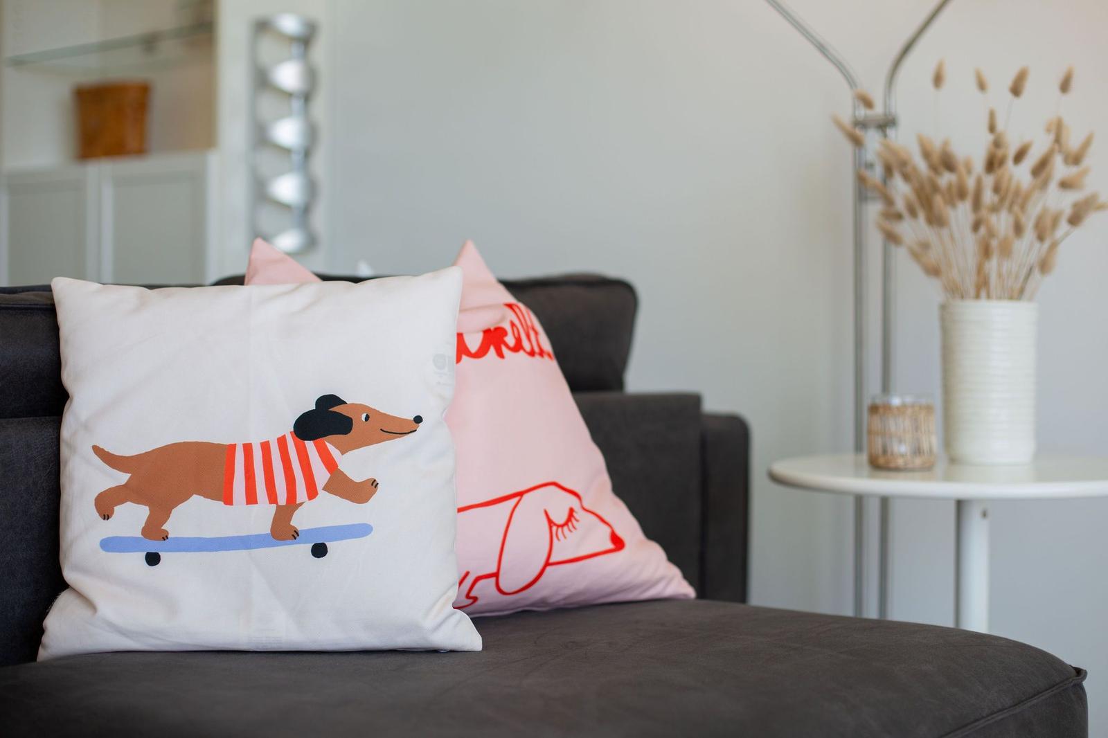 Ein dunkler Sofa mit Kissen, eines mit Hund auf Skateboard, das andere rosa.