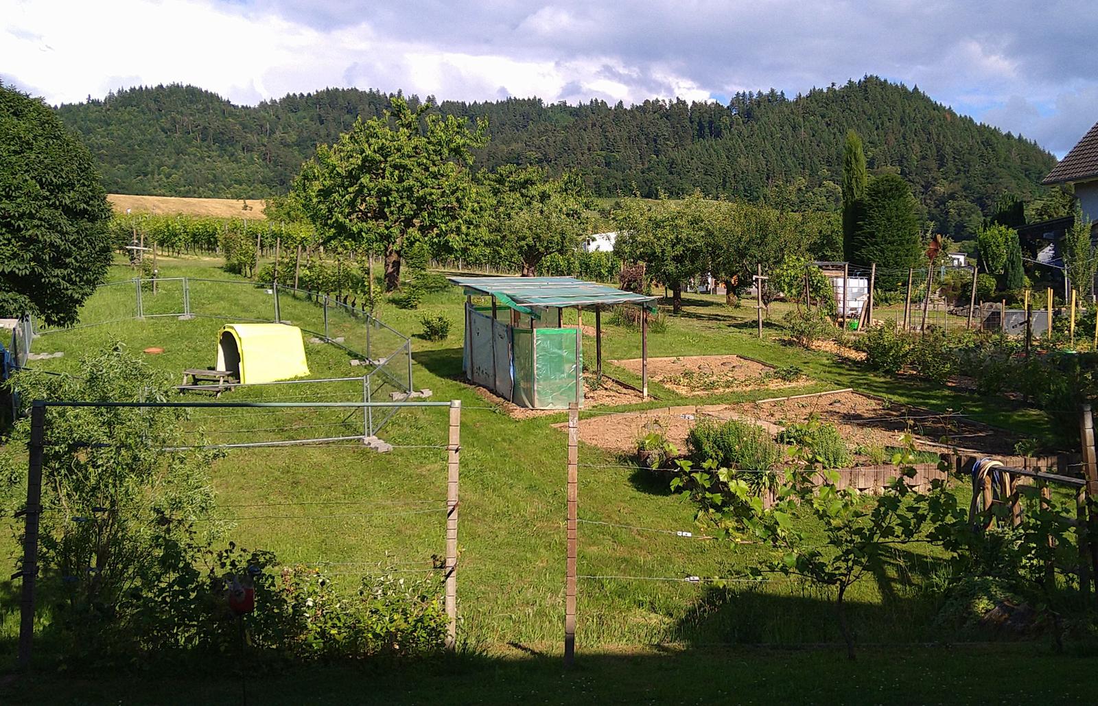 Garten mit Gemüsebeeten, Zaun und Blick auf bewaldete Hügel.