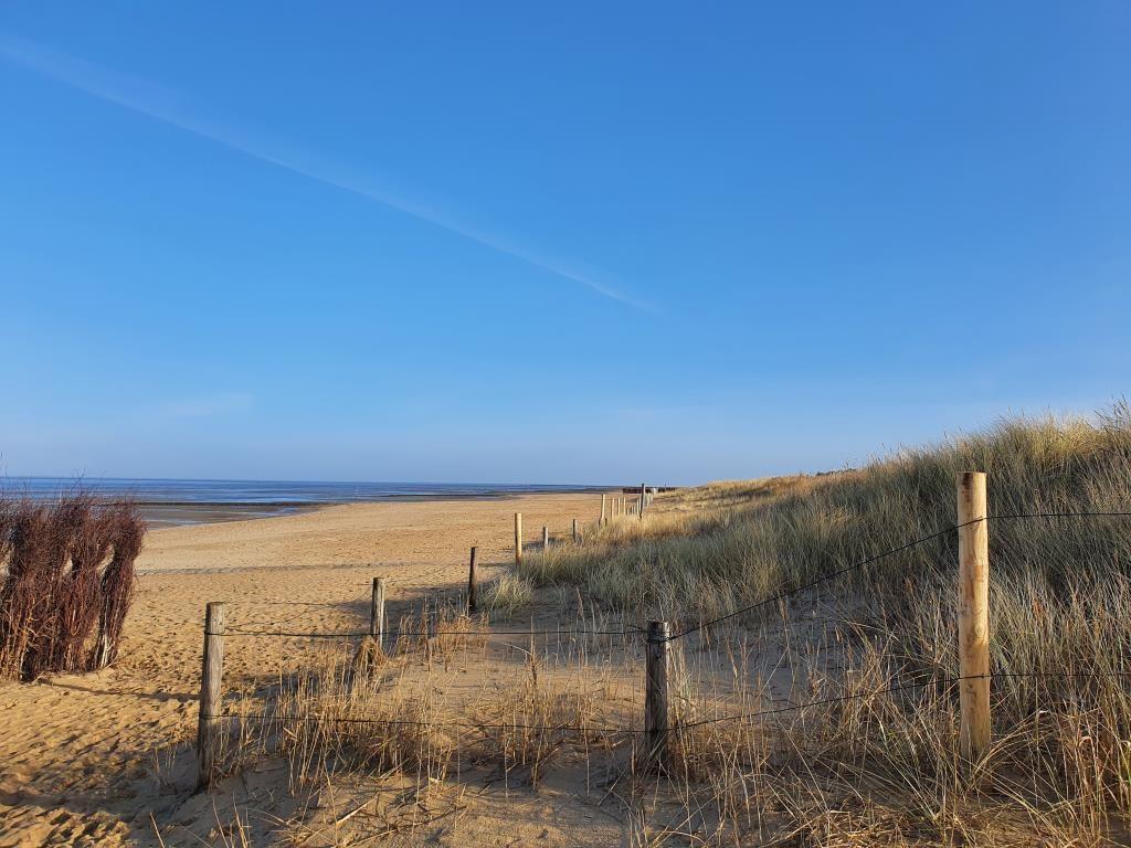 Sandy Beach mit Dünen und Holzpfostenzaun unter blauem Himmel.