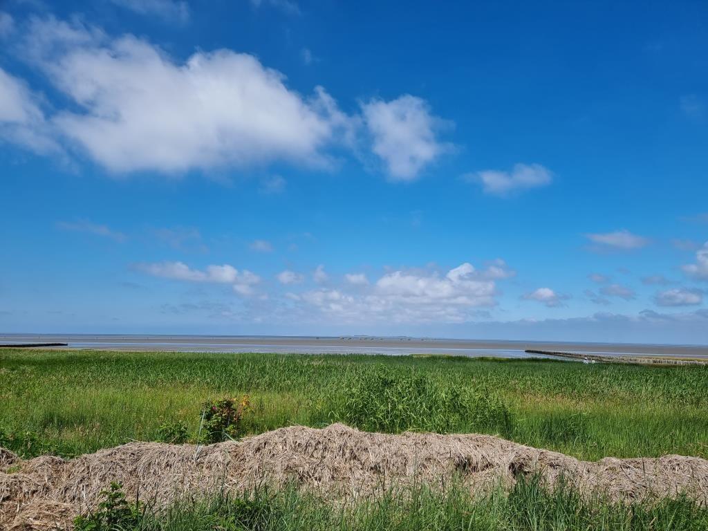 Weitläufiges Grasland mit Blick auf das Wasser unter blauem Himmel mit weißen Wolken.