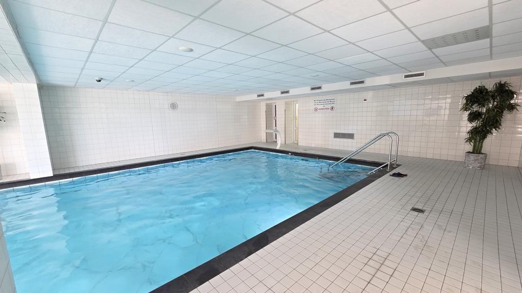 Innenpool mit Sprungbrett und Pflanze an der Wand.