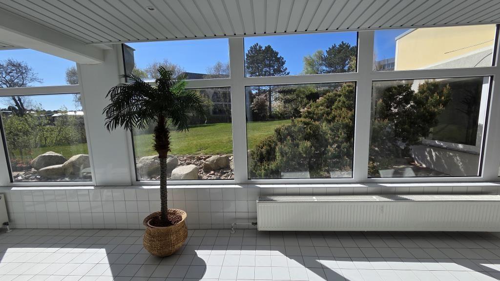 Große Fensterfront mit Blick auf Garten und Bäume. Innen steht eine Palme in einem Korb.