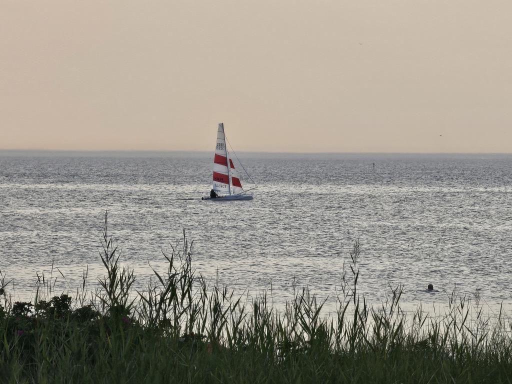 Segelboot mit rotem Segel auf ruhigem Wasser, im Vordergrund hohes Gras.